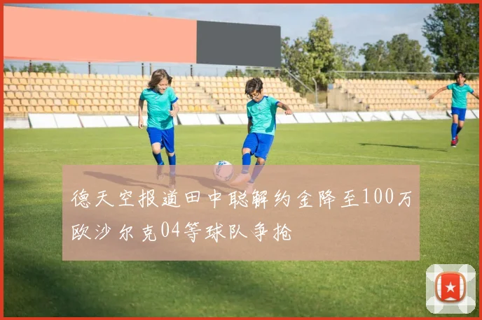 德天空报道田中聪解约金降至100万欧沙尔克04等球队争抢